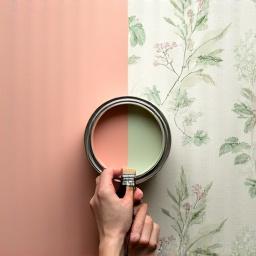 Swatch samples of paint and patterned wallpaper